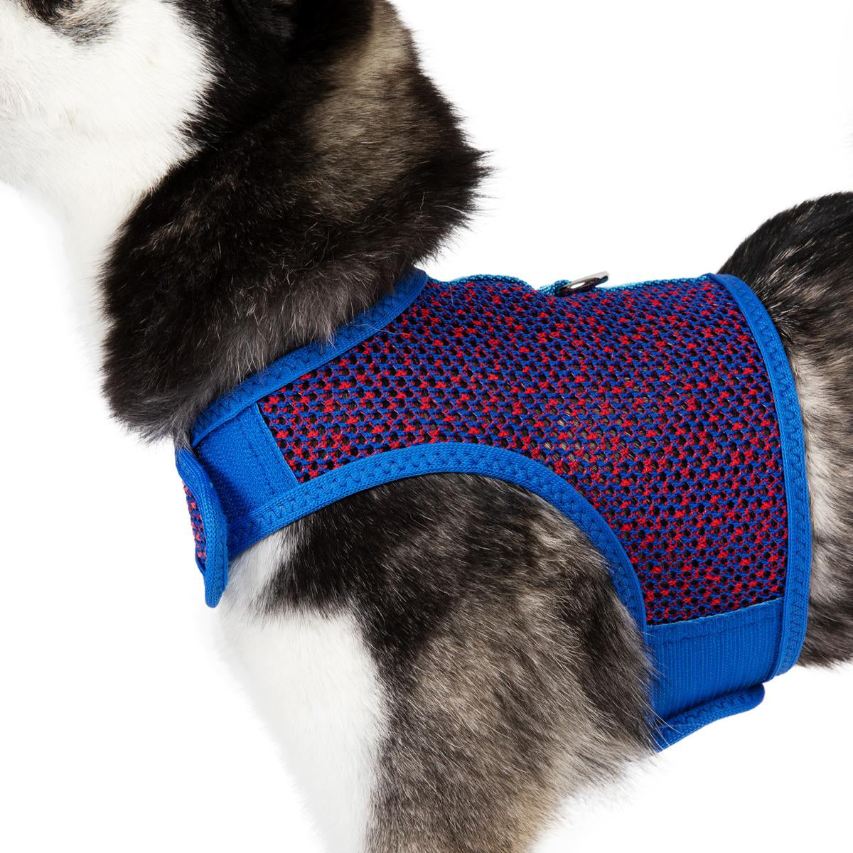 Active Mesh Dog Harness with Leash - Blue & Red