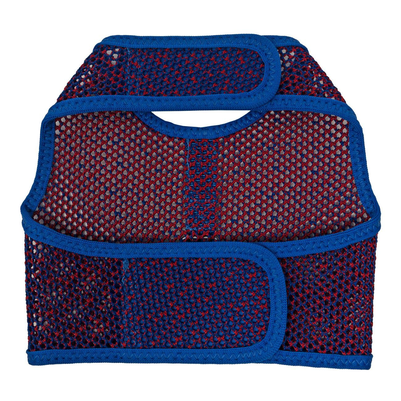 Active Mesh Dog Harness with Leash - Blue & Red
