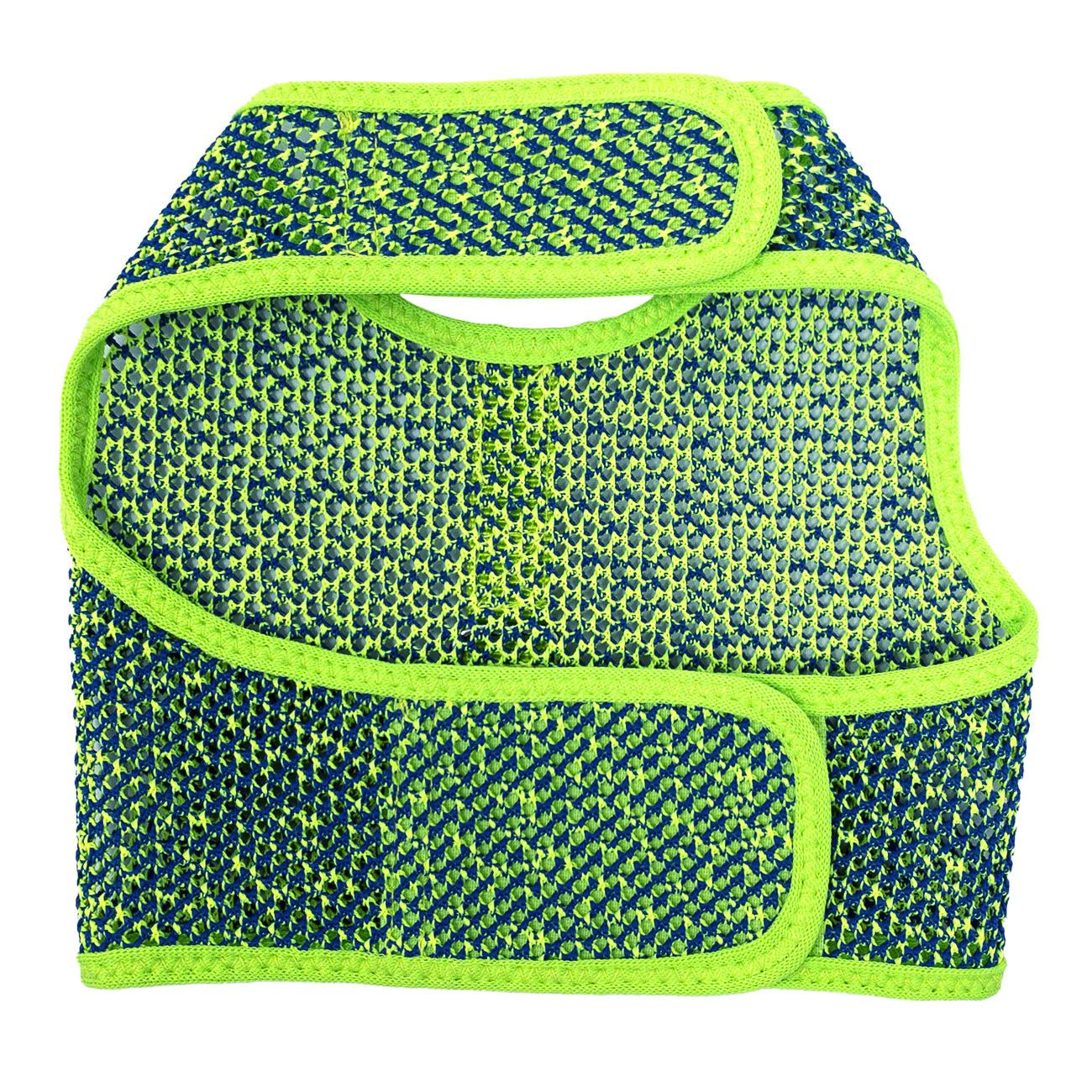 Active Mesh Dog Harness with Leash - Neon Green & Blue