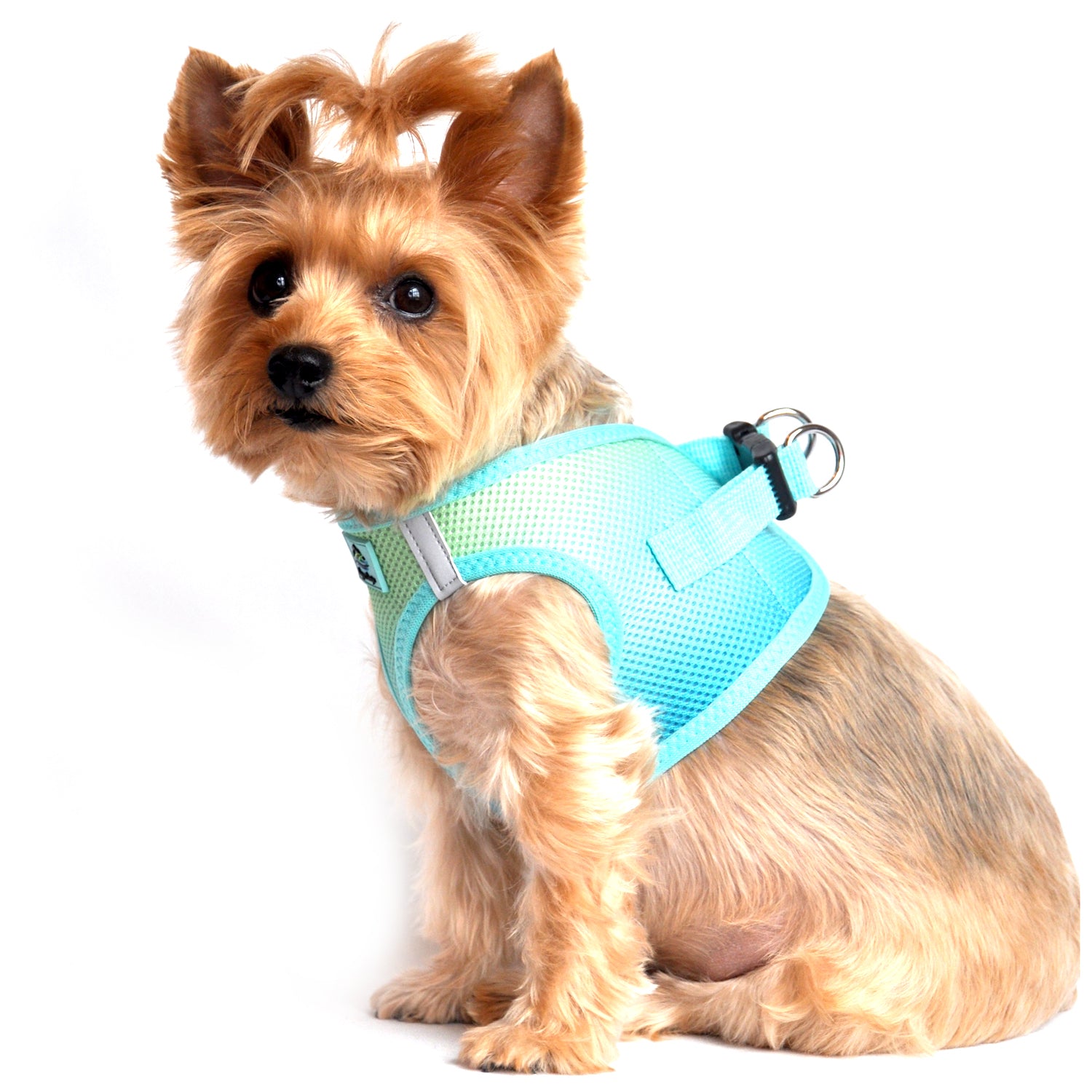 american-river-choke-free-dog-harness-aruba-blue-2.jpg