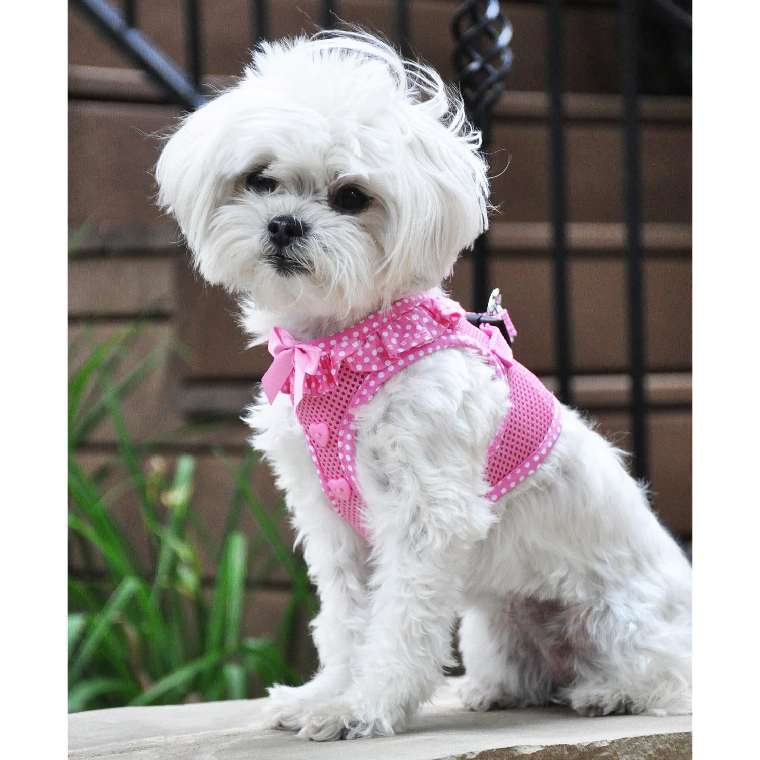 American River Choke Free Dog Harness Polka Dot Collection - Pink Polka Dot