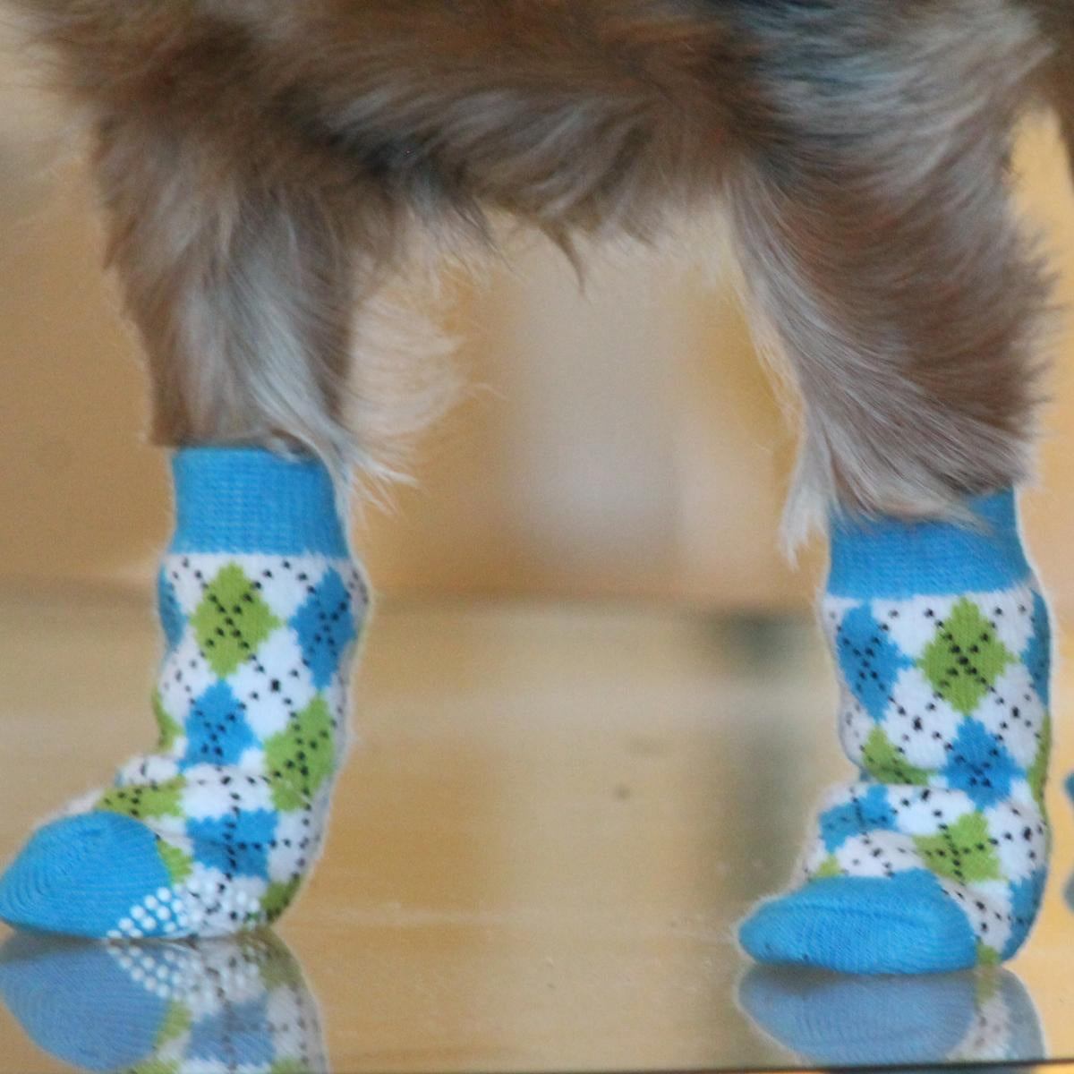 non-skid-dog-socks-blue-green-argyle-9584.JPG