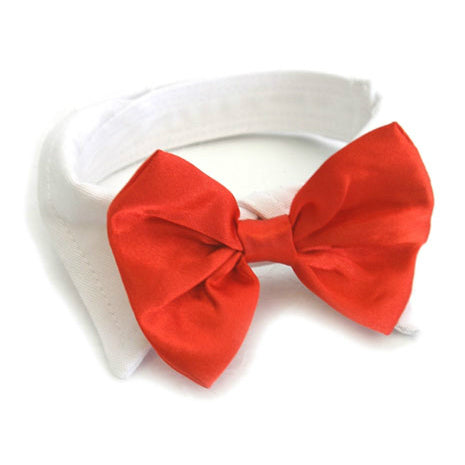 red-satin-bowtie-collar-7744.jpg