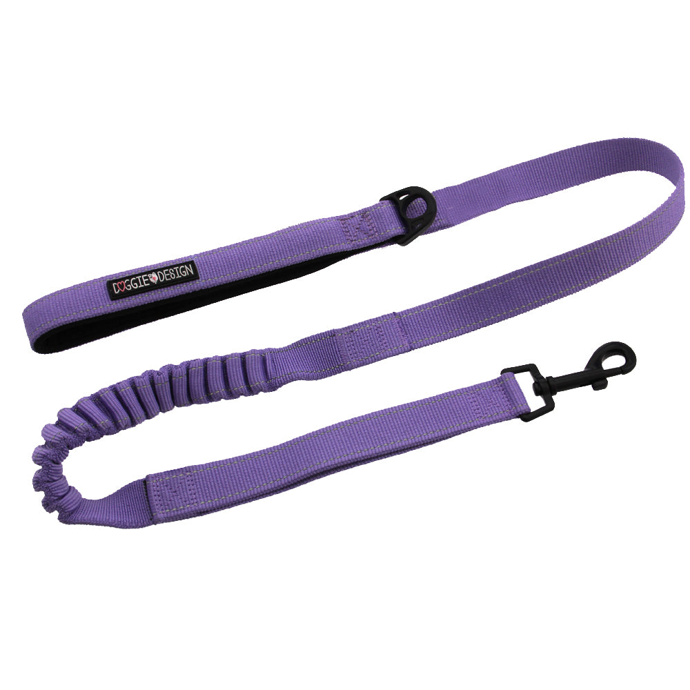 soft-pull-traffic-dog-leash-paisley-purple-2465.jpg