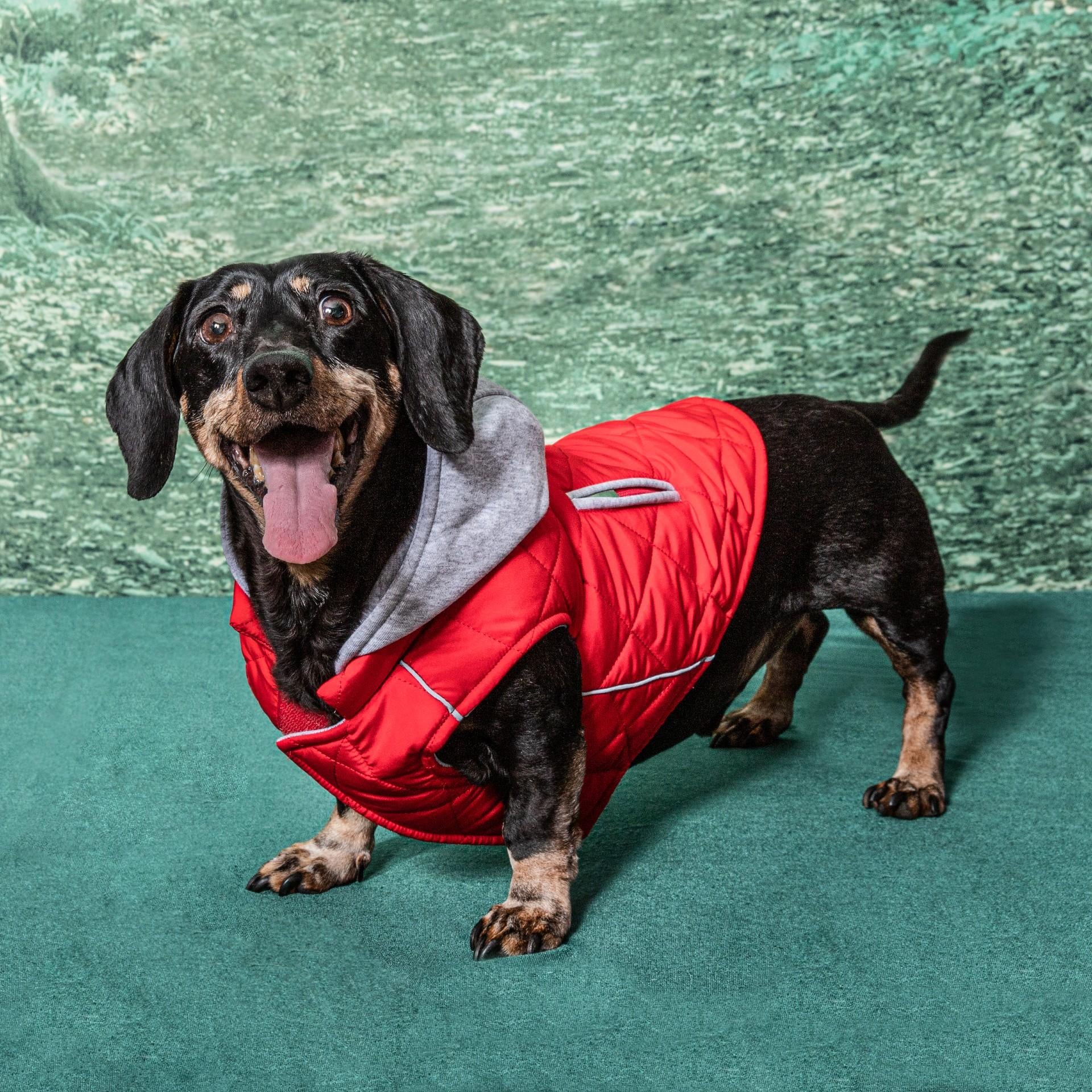 weekender-dog-sweatshirt-hoodie-red-1834.jpg